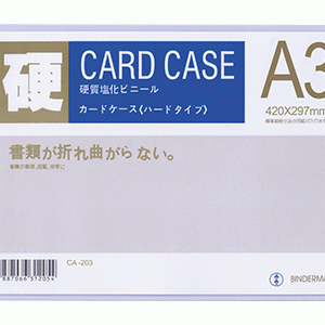 Card case A3 